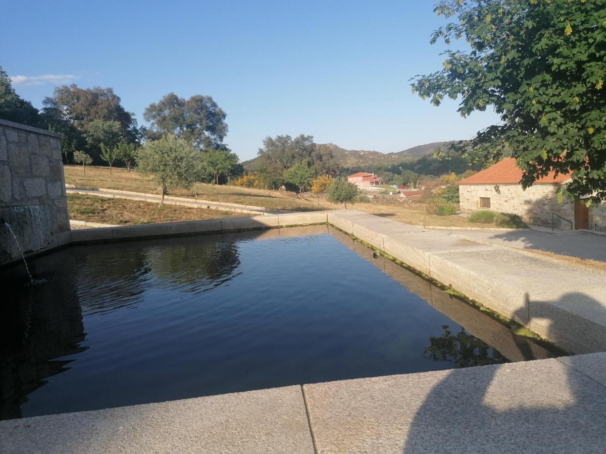 Lirios Da Granja - Casa De Campo Exteriör bild