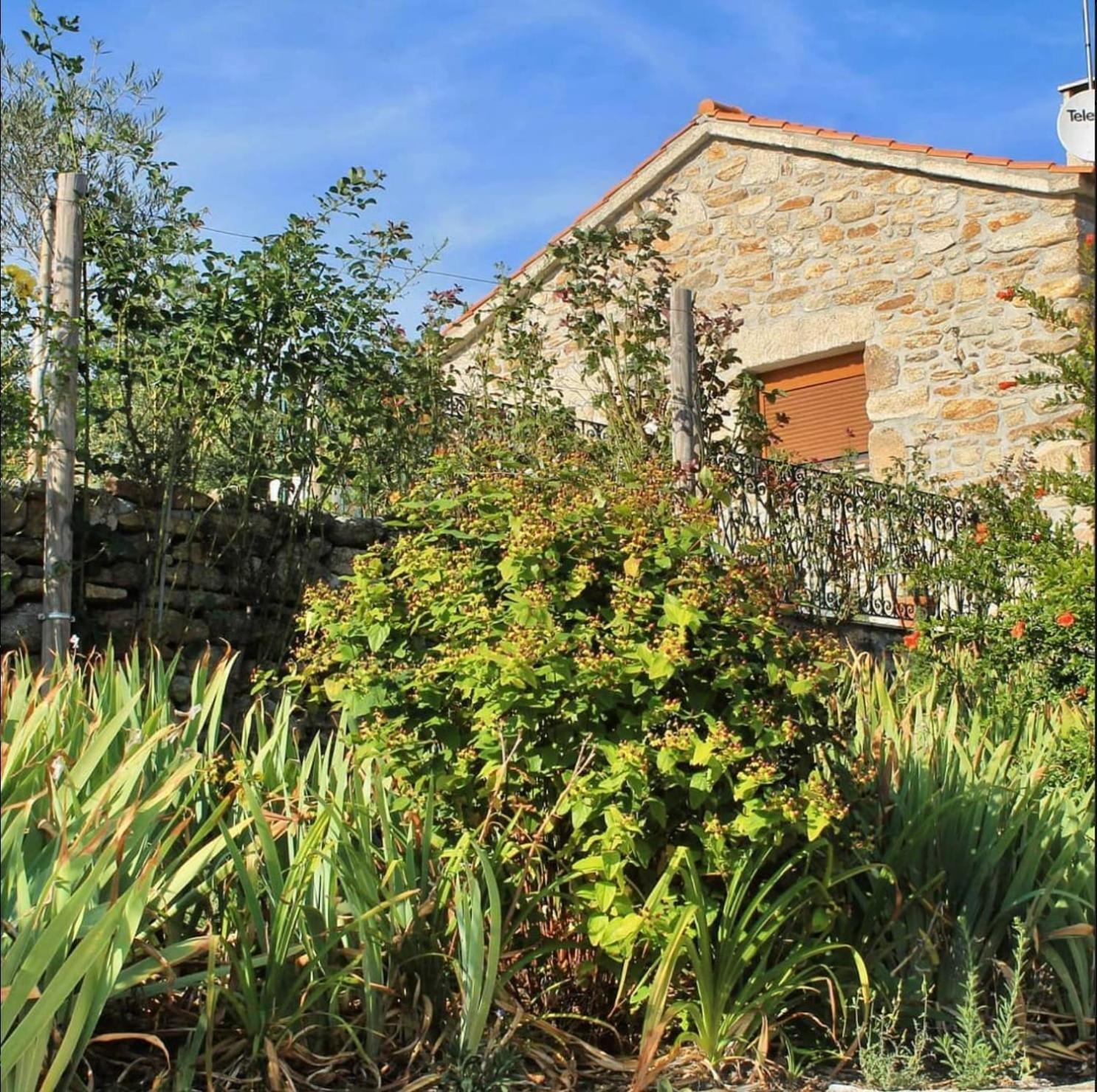 Lirios Da Granja - Casa De Campo Exteriör bild